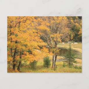 Appalachian Gap Pond Vermont Postkarte