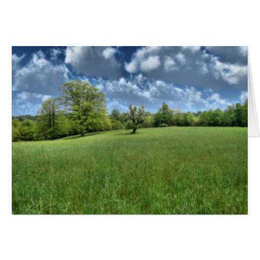 Appalachian Green Card (Vorderseite (Horizontal))