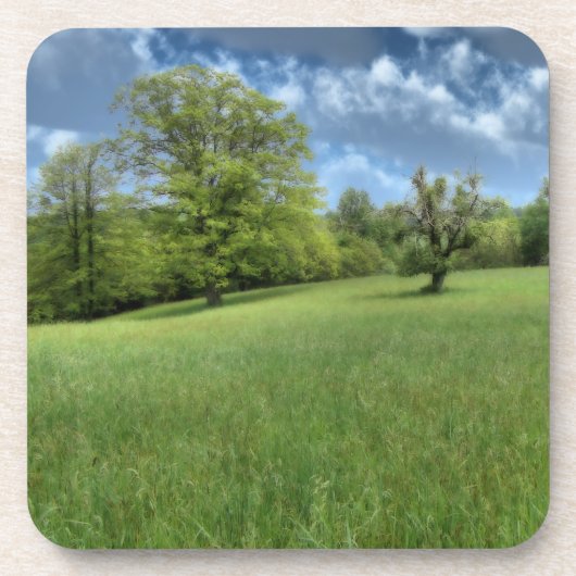 Appalachian Green Cork Untersetzer (Vorderseite)