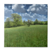 Appalachian Green Decorative Tile Fliese (Vorderseite)