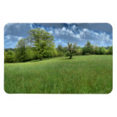 Appalachian Green Flexible Magnet (Horizontal)