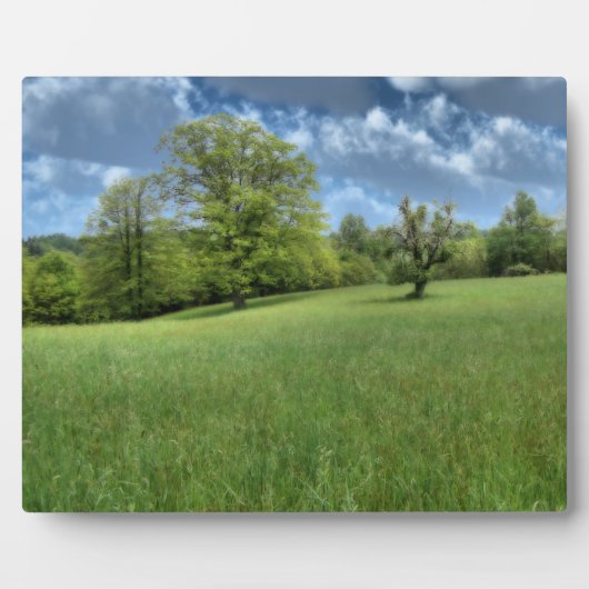 Appalachian Green Foto Plaque Fotoplatte (Vorderseite)