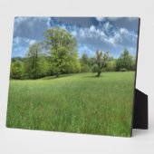 Appalachian Green Foto Plaque Fotoplatte (Seite)