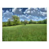Appalachian Green Foto Print (Vorne)