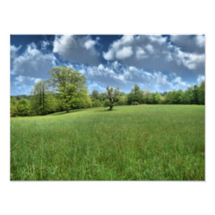 Appalachian Green Foto Print