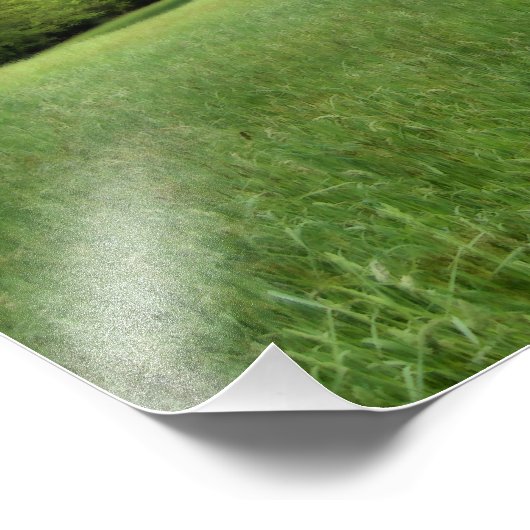 Appalachian Green Foto Print (Ecke)