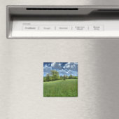 Appalachian Green Magnet (In Situ (Geschirrspüler))