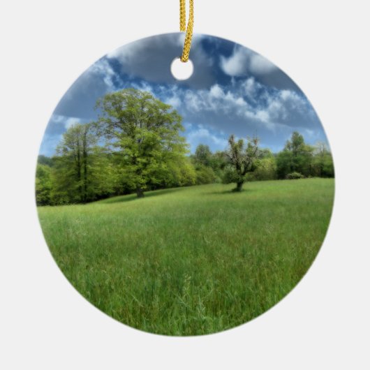 Appalachian Green Ornament (Vorne)