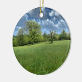 Appalachian Green Ornament (Links)