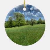 Appalachian Green Ornament (Hinten)