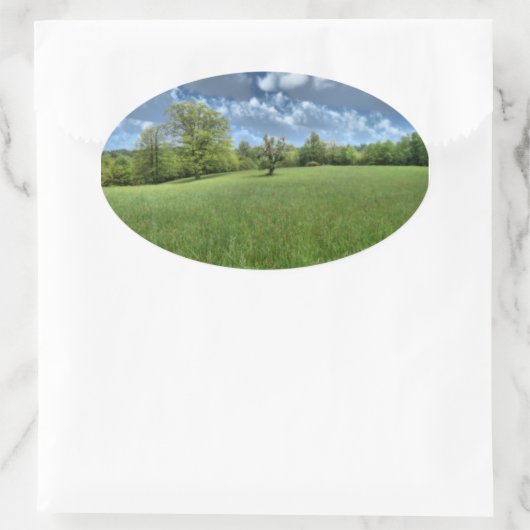 Appalachian Green Stickers (Tasche)