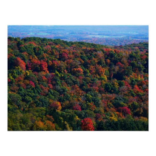Appalachian Mountains im Herbst Poster (Vorderseite)