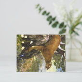 Appalachian-Tiere Postkarte (Stehend Vorderseite)