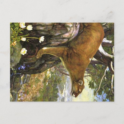 Appalachian-Tiere Postkarte (Vorderseite)