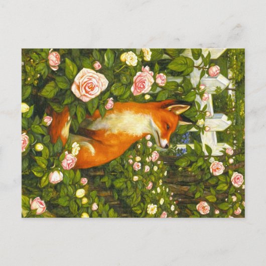 Appalachian-Tiere  Postkarte (Vorderseite)