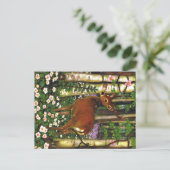 Appalachian-Tiere Postkarte (Stehend Vorderseite)
