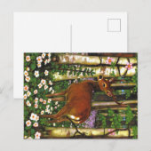 Appalachian-Tiere Postkarte (Vorne/Hinten)