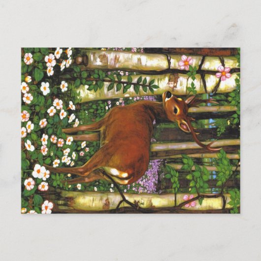 Appalachian-Tiere Postkarte (Vorderseite)