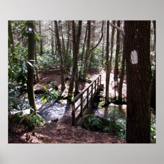 Appalachian Trail bridge, Laurel Fork Tennessee Poster