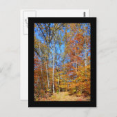 Appalachian Trail Herbst, Herbstlandschaft Postkar Postkarte (Vorne/Hinten)
