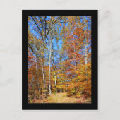Appalachian Trail Herbst, Herbstlandschaft Postkar Postkarte (Vorderseite)