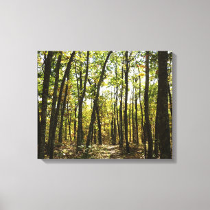 Appalachian Trail im Oktober im Shenandoah Leinwanddruck