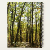 Appalachian Trail im Oktober im Shenandoah Planer (Rückseite)