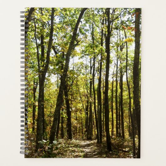 Appalachian Trail im Oktober im Shenandoah Planer (Vorderseite)