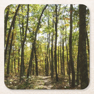 Appalachian Trail im Oktober im Shenandoah Rechteckiger Pappuntersetzer