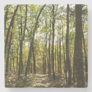Appalachian Trail im Oktober im Shenandoah Steinuntersetzer