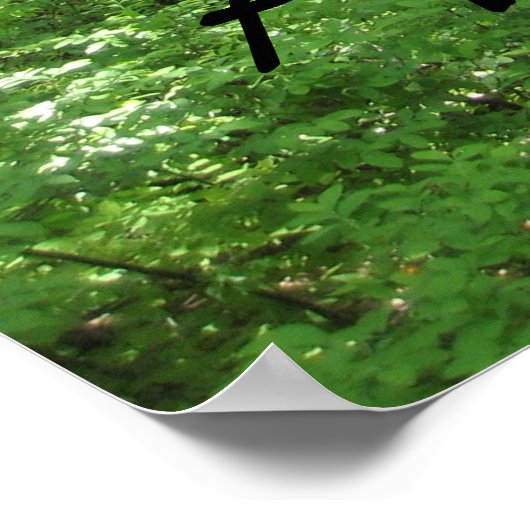 Appalachian Trail Poster (Ecke)