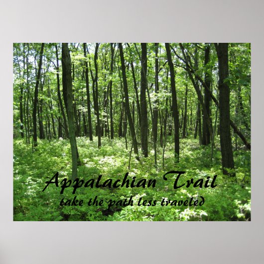 Appalachian Trail Poster (Vorne)