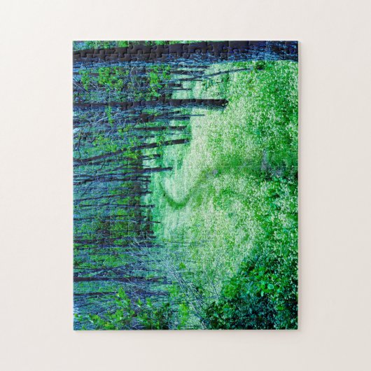 Appalachian Trail Virginia. Puzzle (Vertikal)