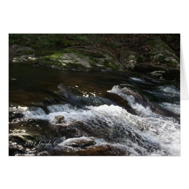 Appalachische Bergbucht (Vorderseite (Horizontal))