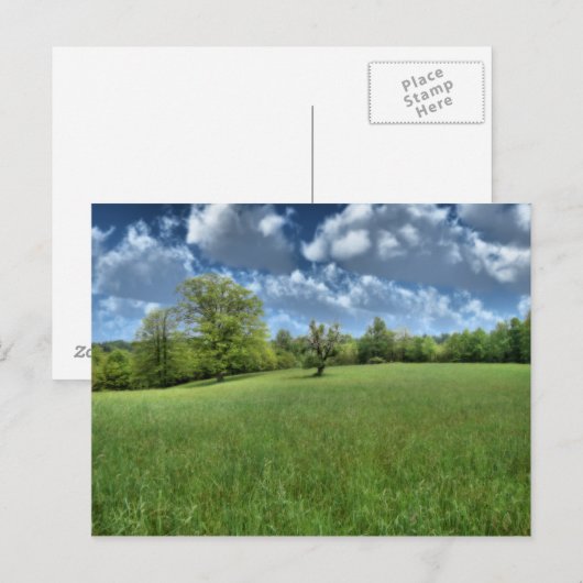 Appalachische grüne Postkarte (Vorne/Hinten)