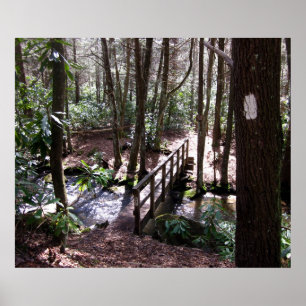 Appalachische Hinterbrücke an der Lorbeer-Gabel Poster