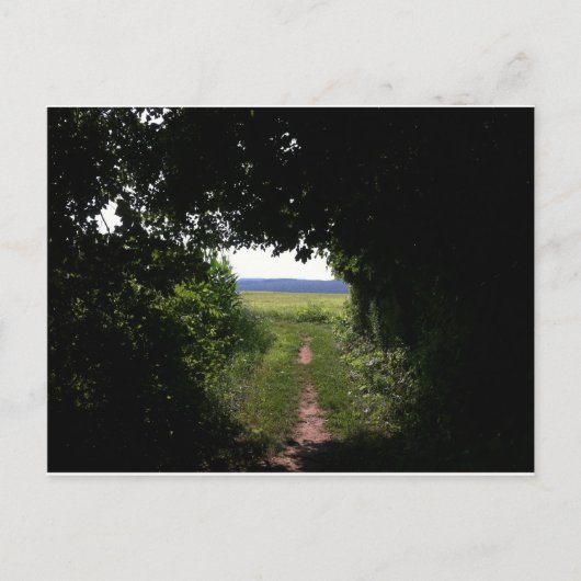 appalachische Spur siedende Quellen Postkarte (Vorderseite)