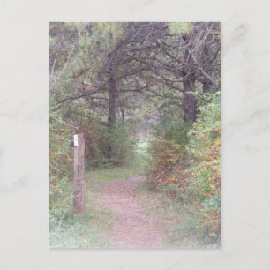 appalachischer Hinterfall Pennsylvania Postkarte