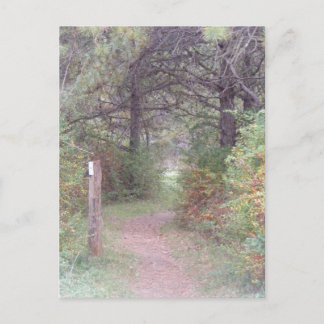 appalachischer Hinterfall Pennsylvania Postkarte