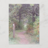 appalachischer Hinterfall Pennsylvania Postkarte (Vorderseite)