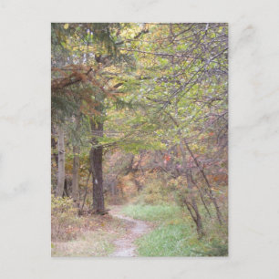 appalachischer Hinterfall Pennsylvania Postkarte