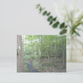 appalachisches Hinterpennsylvaniasüdberg Postkarte (Stehend Vorderseite)