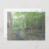 appalachisches Hinterpennsylvaniasüdberg Postkarte (Vorne/Hinten)