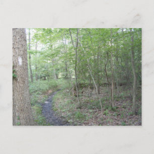 appalachisches Hinterpennsylvaniasüdberg Postkarte