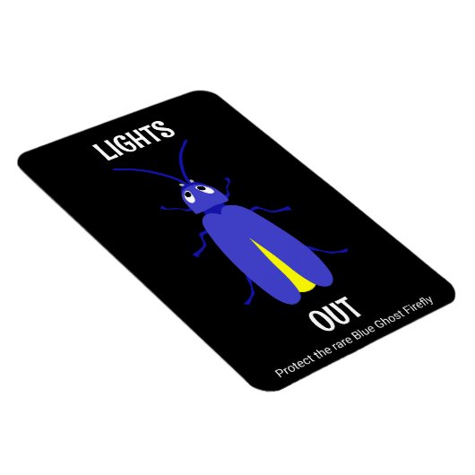 Appalacian Lightning Bug Magnet (Rechte Seite)