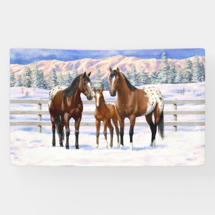Appaloosa brauner Bucht Pferde im Schnee Banner