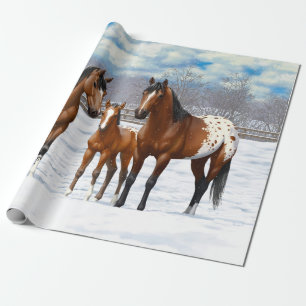 Appaloosa brauner Bucht Pferde im Schnee Geschenkpapier