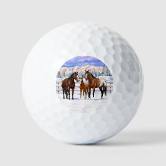 Appaloosa brauner Bucht Pferde im Schnee Golfball