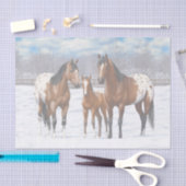 Appaloosa brauner Bucht Pferde im Schnee Seidenpapier (Handwerk)