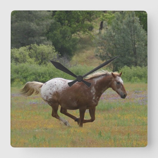 Appaloosa Clock Quadratische Wanduhr (Vorderseite)